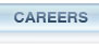 STI Careers